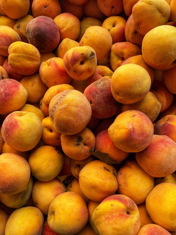 Croisières pour les passionnés de pêche : Techniques et destinations privilégiées