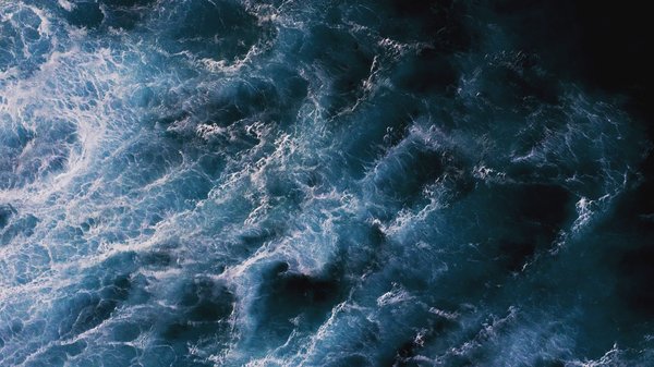 Pourquoi les gens intelligents sont Bordeliques ?